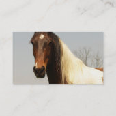 ペンキの馬の名刺 名刺 (裏面)