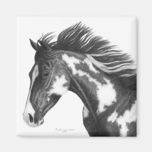 ペンキの馬の磁石 マグネット