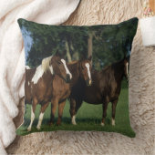 ペンキの馬の立つことのグループ クッション (ブランケット)