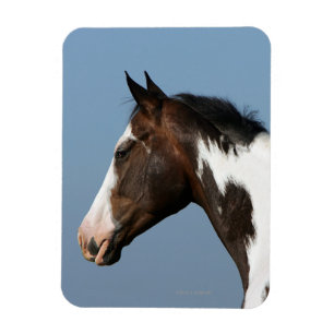 ペンキの馬のHeadshot 1 マグネット