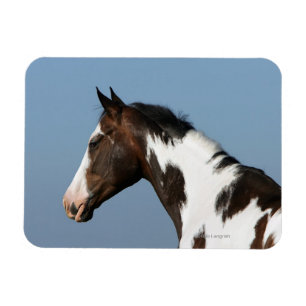 ペンキの馬のHeadshot 1 マグネット