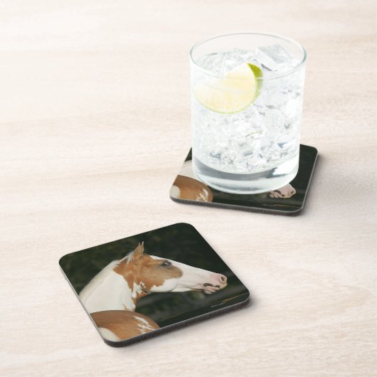 ペンキの馬のHeadshot 2 コースター (右側)