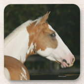 ペンキの馬のHeadshot 2 コースター (正面)