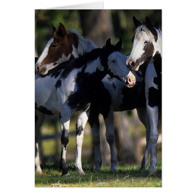 ペンキの馬 (正面)