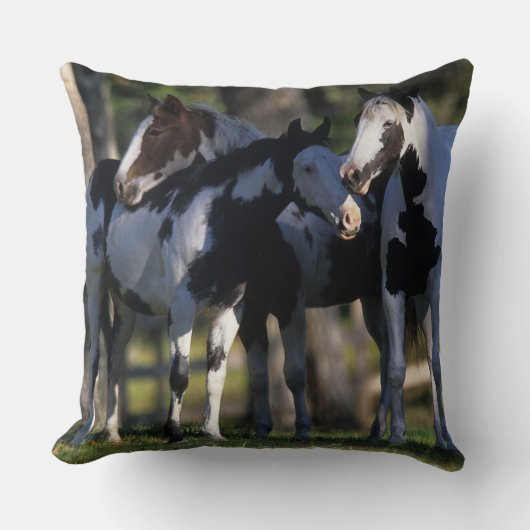 ペンキの馬 クッション (正面)