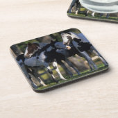ペンキの馬 コースター (左側)