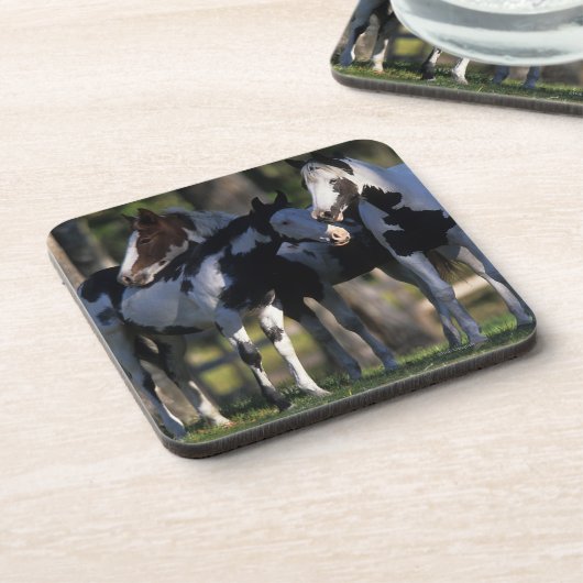 ペンキの馬 コースター (左側)