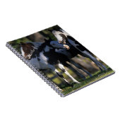 ペンキの馬 ノートブック (右側)