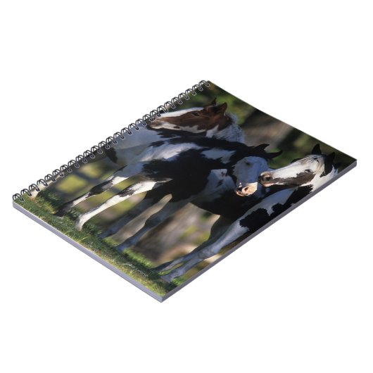 ペンキの馬 ノートブック (左側)