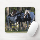 ペンキの馬 マウスパッド (マウス)