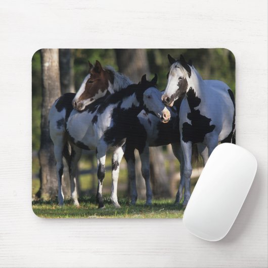 ペンキの馬 マウスパッド (マウス)