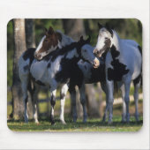 ペンキの馬 マウスパッド (正面)