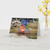 ペンキカードをぬらして下さい カード (黄色い花)