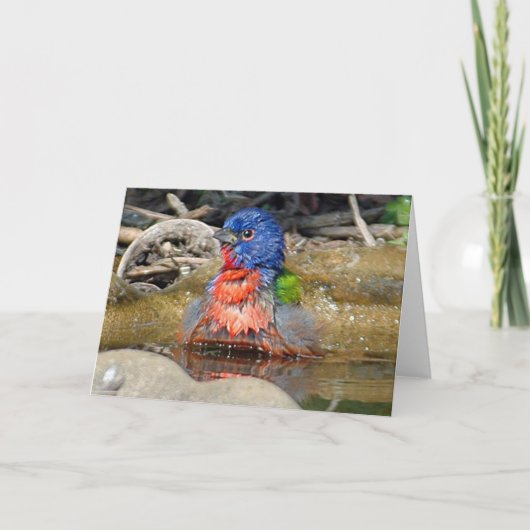 ペンキカードをぬらして下さい カード (正面)