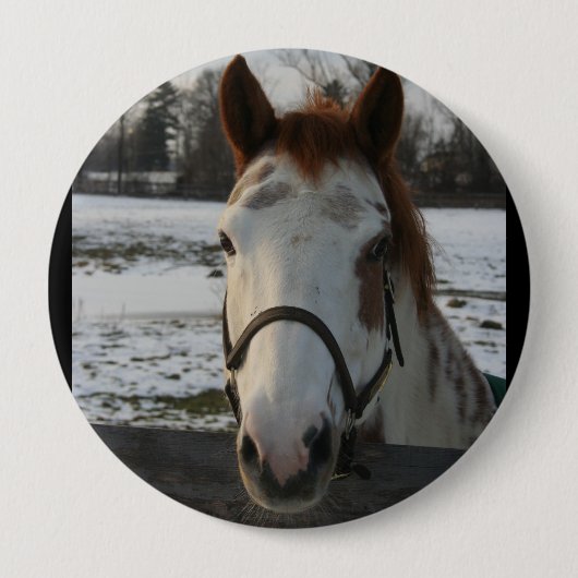 ペンキボタン 缶バッジ (正面)