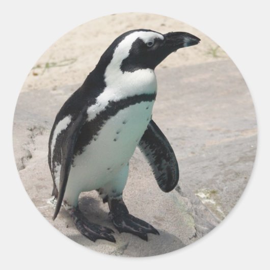 ペンキンステッカー ラウンドシール (正面)