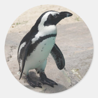 ペンキンステッカー ラウンドシール