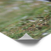 ペンギおもしろいン ポスター (角)