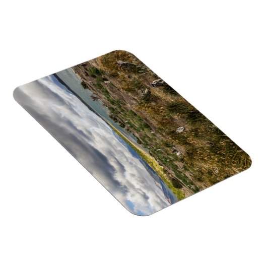 ペンギネラ マグネット (右側)