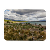 ペンギネラ マグネット (横)