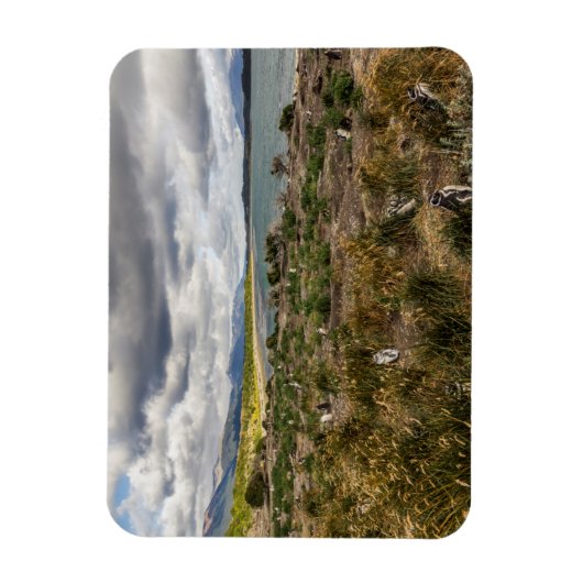 ペンギネラ マグネット (縦)