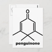 ペンギノン ポストカード (正面/裏面)