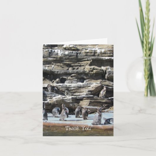 ペンギンありがとう サンキューカード (正面)