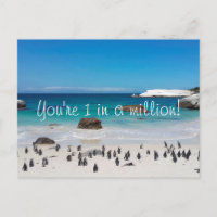 ペンギンおもしろいズサンキュー