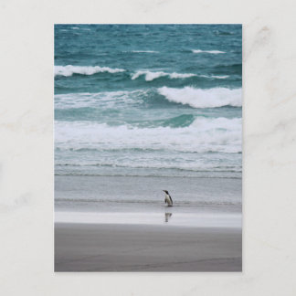 ペンギンが海から ポストカード