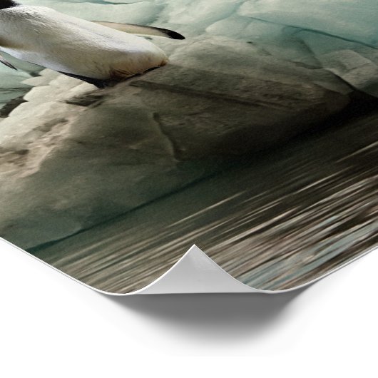 ペンギンとシロクマによる気候変動 ポスター (角)