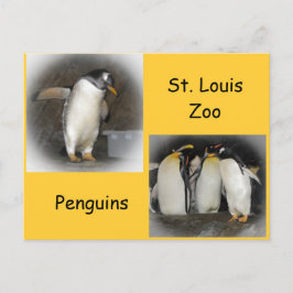 ペンギンと動物園 ポストカード