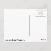 ペンギンと動物園 ポストカード (裏面)