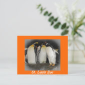 ペンギンと動物園 ポストカード (スタンド正面)