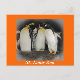 ペンギンと動物園 ポストカード