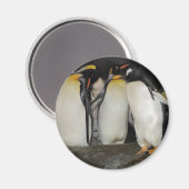 ペンギンと動物園 マグネット (正面/裏面)