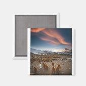 ペンギンと夕暮れ マグネット (正面/裏面)