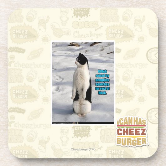 ペンギンによって上げられる コースター (正面)