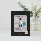 ペンギンに育てられる ポストカード (スタンド正面)