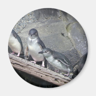 ペンギンのとまり木 マグネット