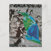 ペンギンのコラージュ ポストカード (正面)