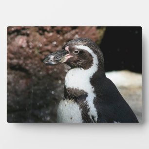ペンギンのプレート フォトプラーク