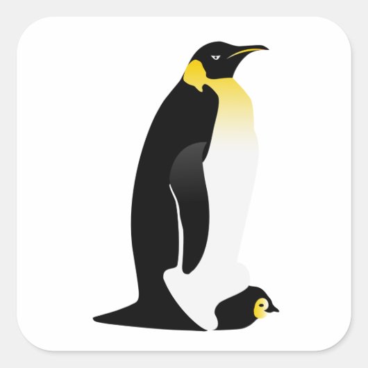 ペンギンのベビー スクエアシール (正面)