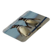 ペンギンのペアがビーチ マグネット (左側)