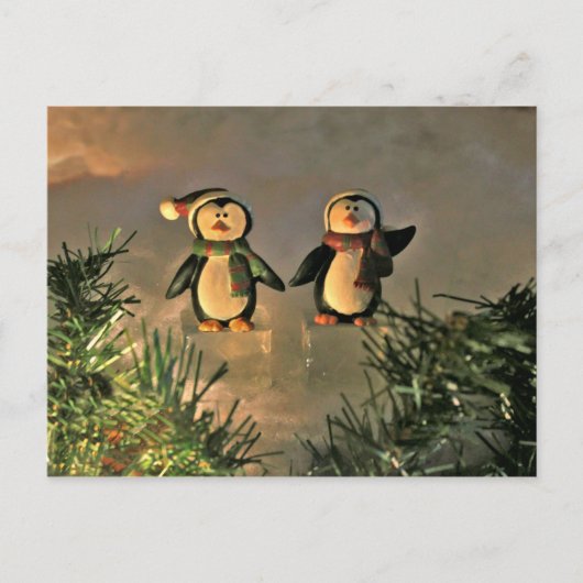 ペンギンのペア ポストカード (正面)