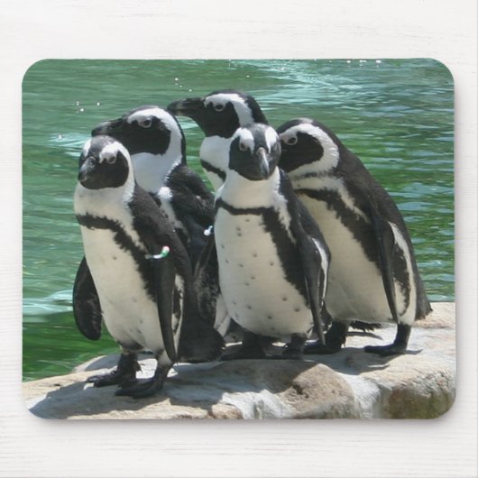 ペンギンのマウスパッド マウスパッド (正面)