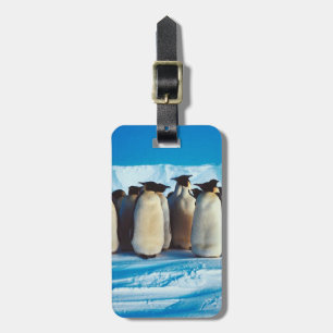 ペンギンの大股 ラゲッジタグ