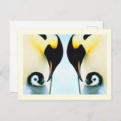 ペンギンの家鳥 ポストカード (正面/裏面)