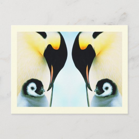 ペンギンの家鳥 ポストカード (正面)