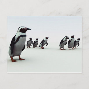 ペンギンの整列 ポストカード