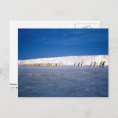 ペンギンの月明かり、南極大陸 ポストカード (正面/裏面)